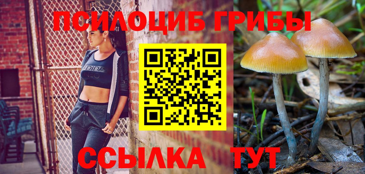 Галлюциногенные грибы Magic Shrooms Зеленогорск