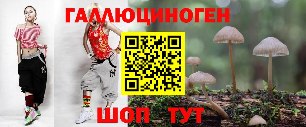 Псилоцибиновые грибы GOLDEN TEACHER  Галлюциногенные грибы Cubensis  Зеленогорск  Вход с VPN 